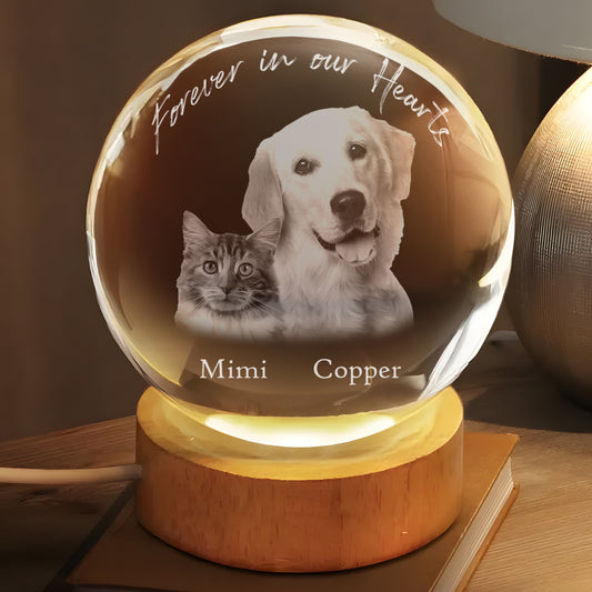 Round Custom Picture Luminous Crystal Night Light – Personalized Memorial Pet Photo Lamp