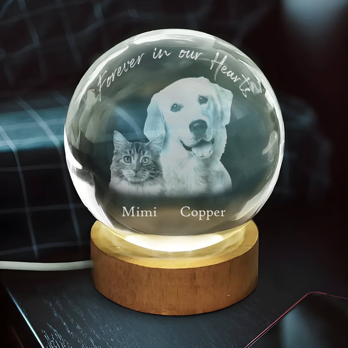 Round Custom Picture Luminous Crystal Night Light – Personalized Memorial Pet Photo Lamp