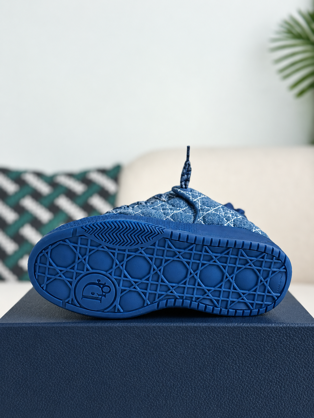 Dior Low Top Sneaker Blue