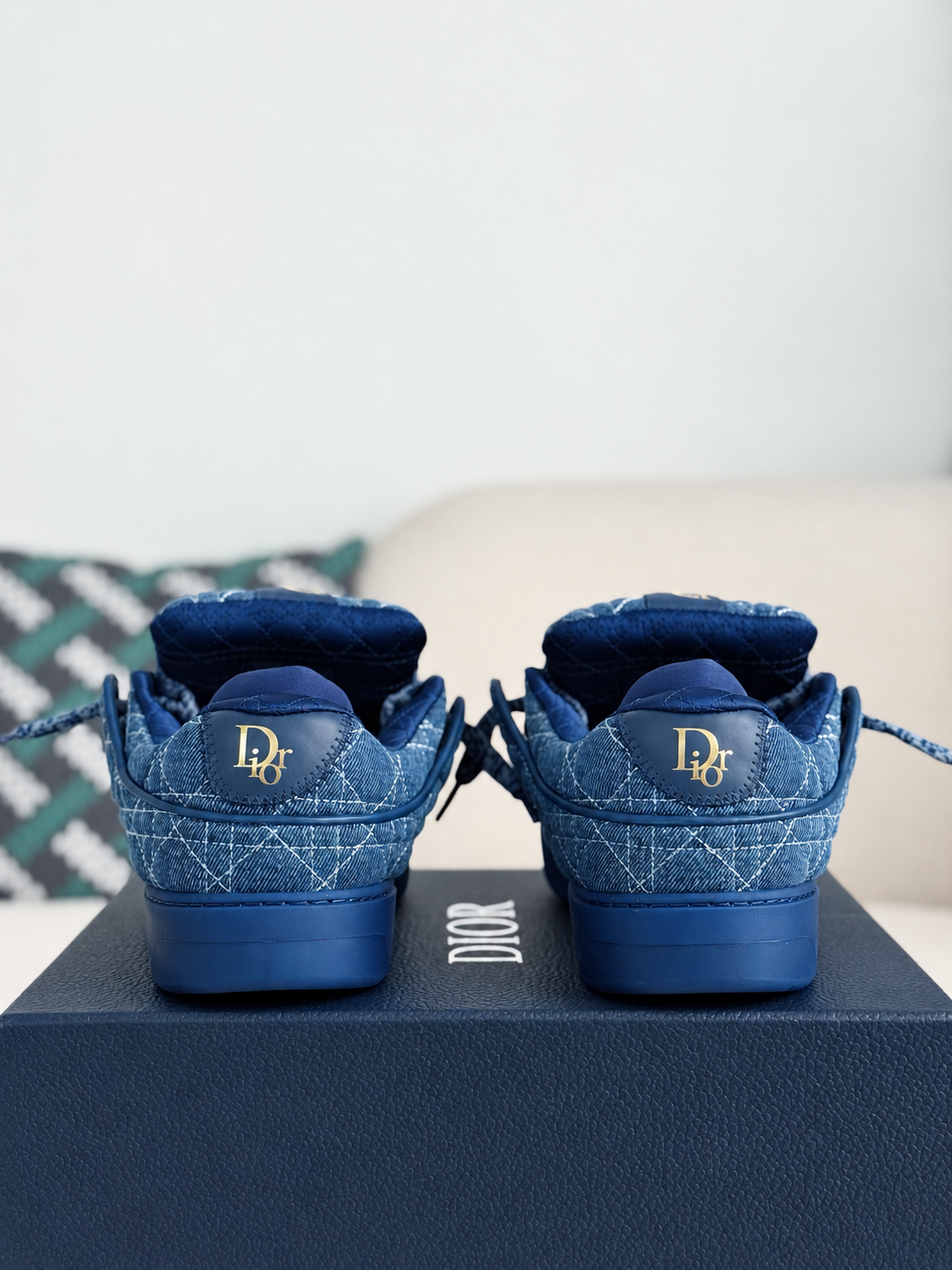 Dior Low Top Sneaker Blue