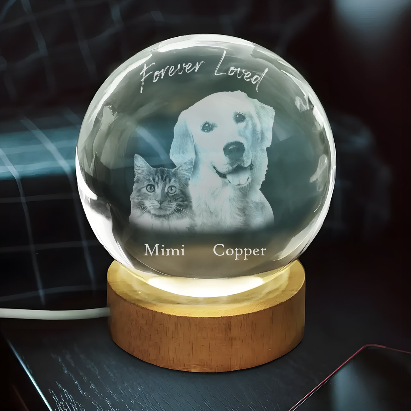 Round Custom Picture Luminous Crystal Night Light – Personalized Memorial Pet Photo Lamp