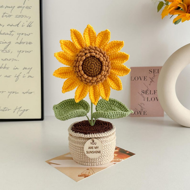 Positive Quote Crochet Flower Arrangement – Handmade Gift for Mother’s Day, Christmas, or Special Occasions