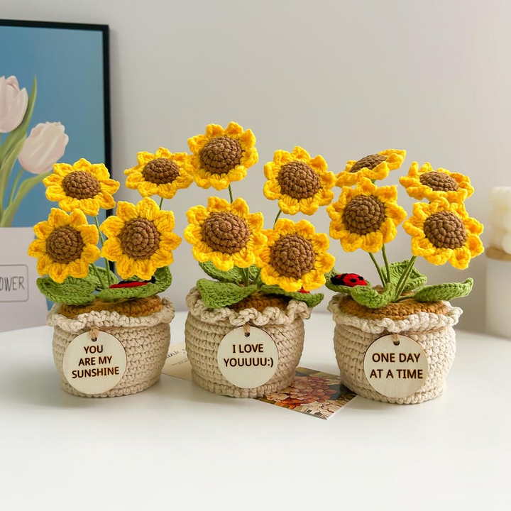 Positive Quote Crochet Flower Arrangement – Handmade Gift for Mother’s Day, Christmas, or Special Occasions